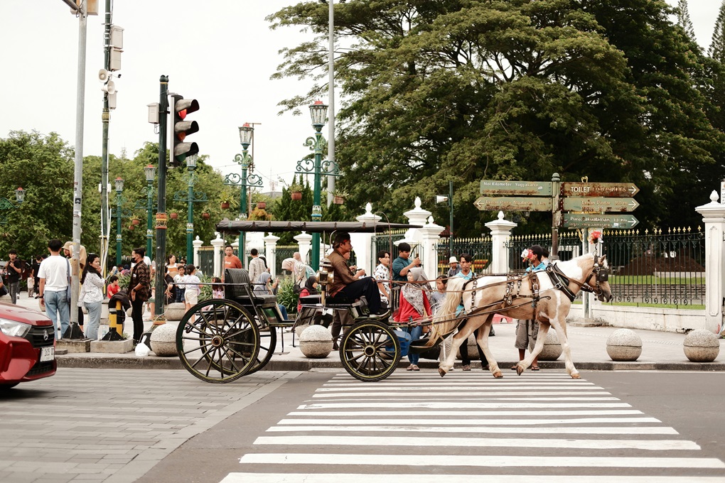 How to Safely Drive Past Horses on Public Roads